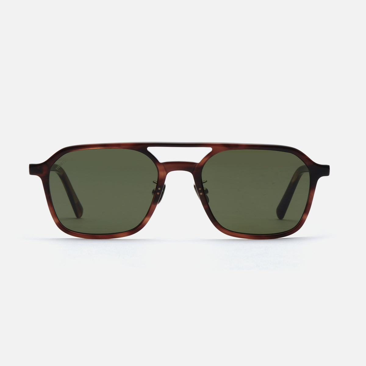 Ted - tortoise / green